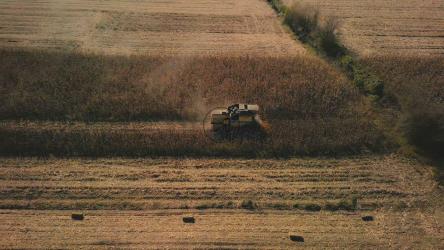 玉米收割的无人机视图[]