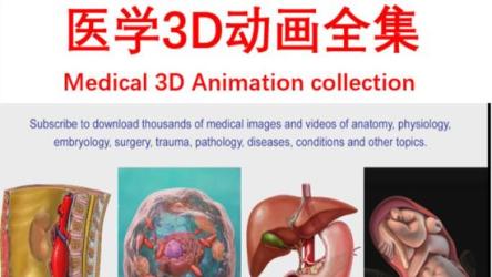 全网最全各种医学病例3D教程演示