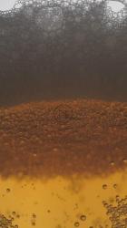 当他们供应更多啤酒时，请举杯[免费商用竖屏]