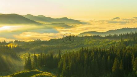 Msity早晨在山上[4K]