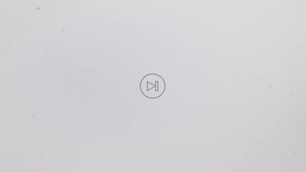 一把蓝色的浆果掉进装满牛奶的盘子里[免费商用]