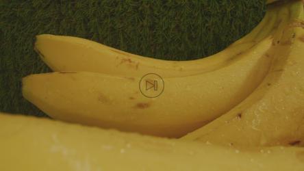 特写镜头中的一对芭蕉茎[免费商用]