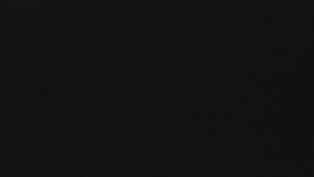 掉落的胡萝卜片[]