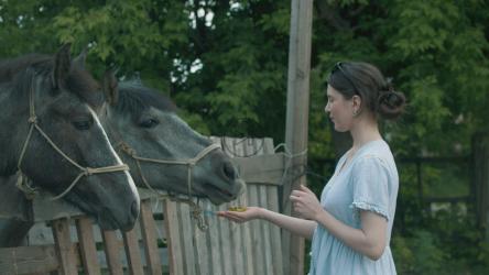 在农场里喂灰马的年轻女子[4K]