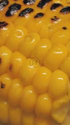 烤玉米棒[免费商用竖屏]