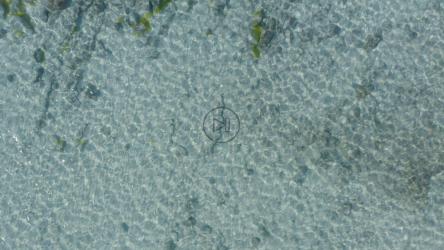 向上俯瞰海滩的透明海水[免费商用]