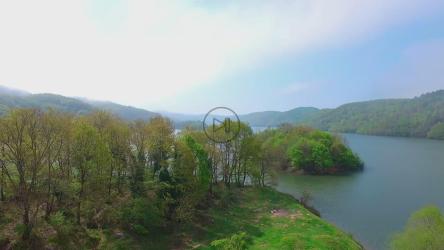 在平静的湖面上飞翔[]