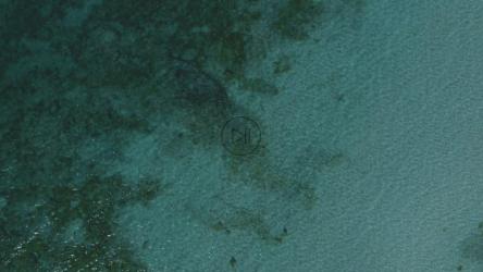 质地来自晶莹剔透的翡翠水[免费商用]