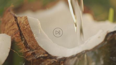 椰子油往下掉[]