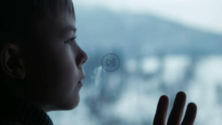 窗户后面的男孩[]