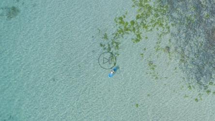 两人在海滩上划桨，空中拍摄[免费商用]