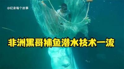 非洲莫桑比克的伐木工，冒着被抓的风险去盗砍树，工资每天才25元