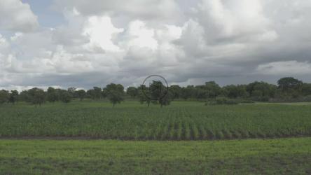 在非洲种植农作物的农场[4K]