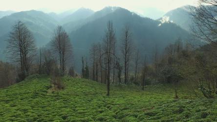 山里的一个小镇[4K]