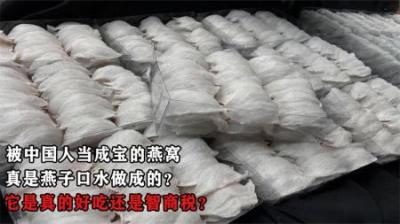被中国人当成宝的燕窝，真是燕子口水做成的？它是智商税吗？
