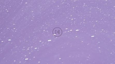 紫色液体[免费商用]