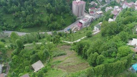 村庄边缘的茶台[4K]