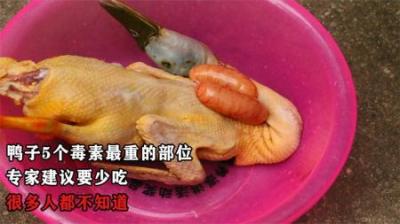 鸭子5个毒素最重的部位，专家建议要少吃，很多人都不知道