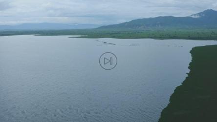 飞越自然平原上的湖面[4K免费商用]