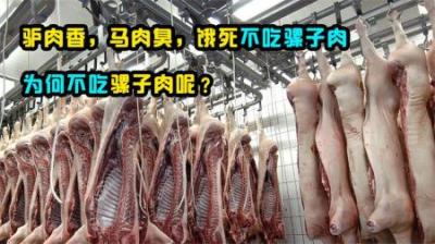 老话说“驴肉香，马肉臭，饿死不吃骡子肉”，难道骡子肉很难吃？