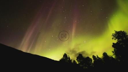 美丽的黄色和粉红色的北极光[免费商用]