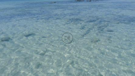 天堂海岸清澈的海水近景[免费商用]