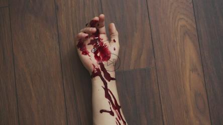 血腥的手掉在地板上，被拖走了[]