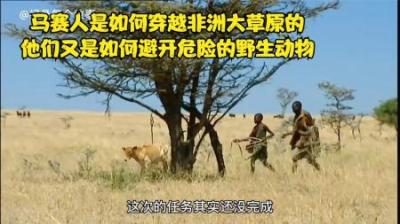 非洲神仙般马赛人徒步穿越大草原，遇到狮子大象他们是怎么脱险呢
