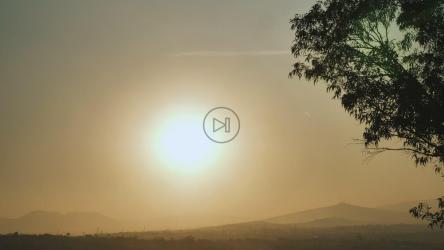 天空中的太阳和一棵树的轮廓[免费商用]