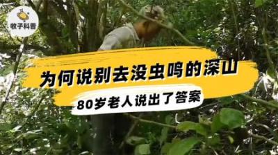 老人常说，没有虫鸣的深山，不要只身前往？里面真有这么可怕吗？