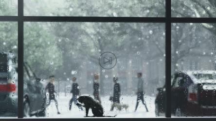 冬天窗户里的猫[]