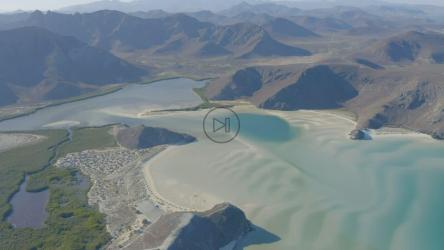 paradisiacal河口的总体鸟瞰图[免费商用]