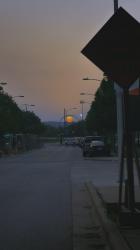 漫步在城市中的远处日落[免费商用竖屏]