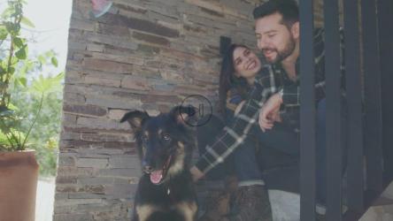 幸福的夫妇抚摸他们的狗[免费商用]