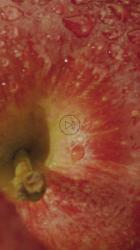 新鲜苹果的质地视频[免费商用竖屏]