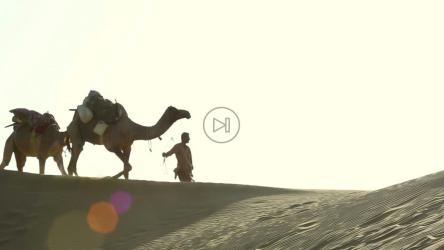 骆驼车队穿越沙漠[]