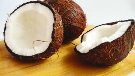 一对椰子被椰子水弄湿了[]