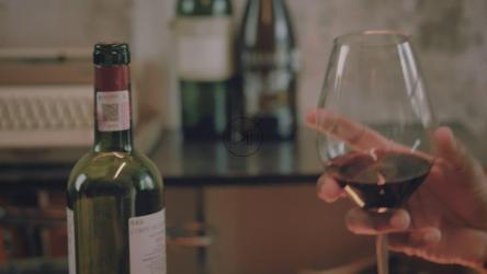 一对情侣在浪漫的晚餐中碰杯[免费商用]