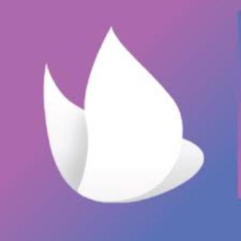 Dycharts 数据可视化