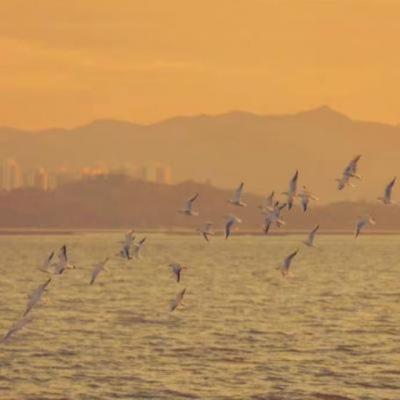 【经典】微信青少年发朋友圈文案（20岁青少年发朋友圈的文案）