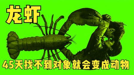 在这个里，单身不配做人，到了一定的期限就会变成动物《龙虾》