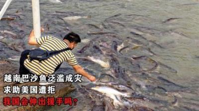 越南巴沙鱼泛滥成灾，求助美国遭拒，我国会伸出援手吗？