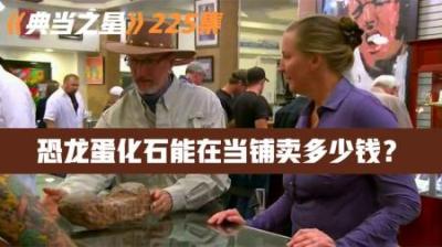 2000万年前生物化石，能在当铺卖多少钱，老板不论谁砍价从不手软