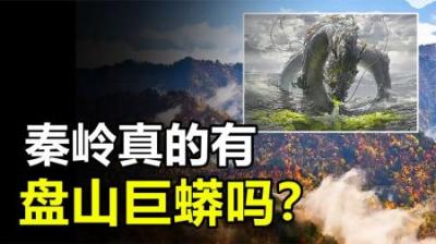 世界上最大的蛇，到底能长到多大？秦岭真的有盘山巨蟒吗？