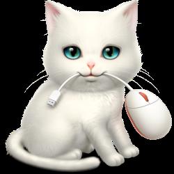 键盘辅助工具Shortcat0.7.7