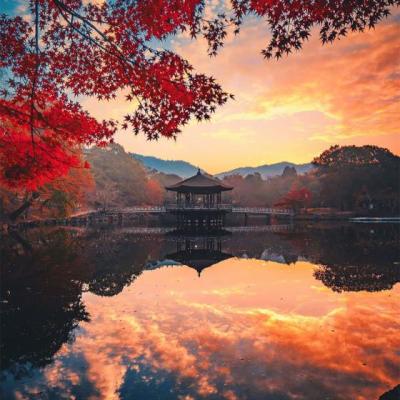 【励志】艺考励志的视频（艺考自我成长视频）