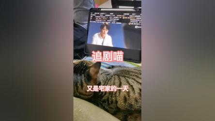 追剧喵_3.0.4纯净版