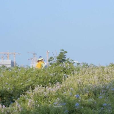 【正能量】教师不断学习的正能量文案（教师不断学习提升自己的文案）