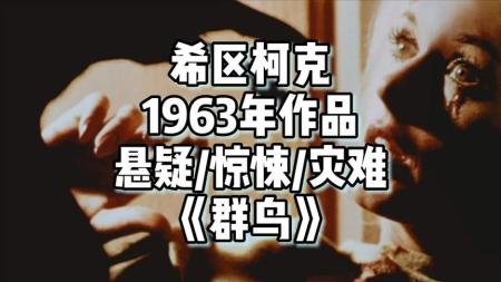 当鸟群开始攻击人类，1963年希区柯克镜头下的末世场景—《群鸟》