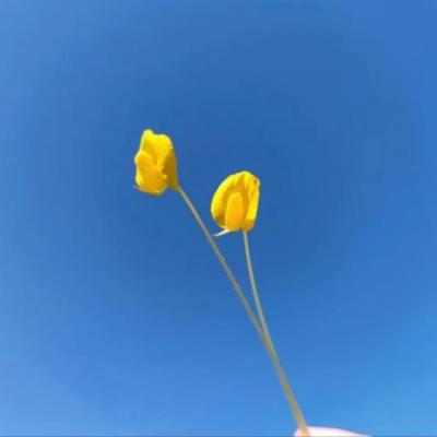 【励志】余光中关于崇拜的经典语录（余光中精彩句子）